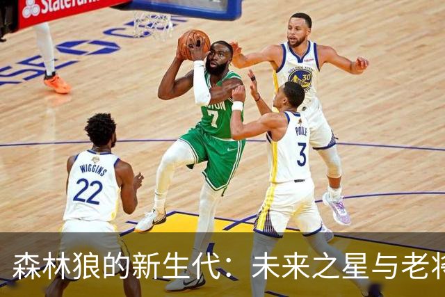 森林狼的新生代：未来之星与老将的绝妙配合！